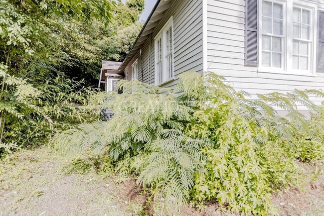 Building Photo - 1703 Pine St