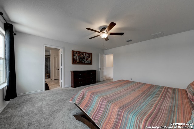 Building Photo - 3011 Comanche Crossing