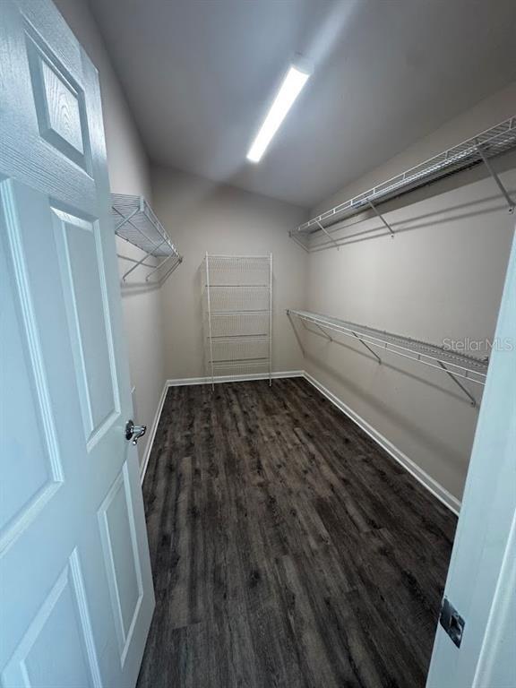 Building Photo - 495 Painted Leaf Dr