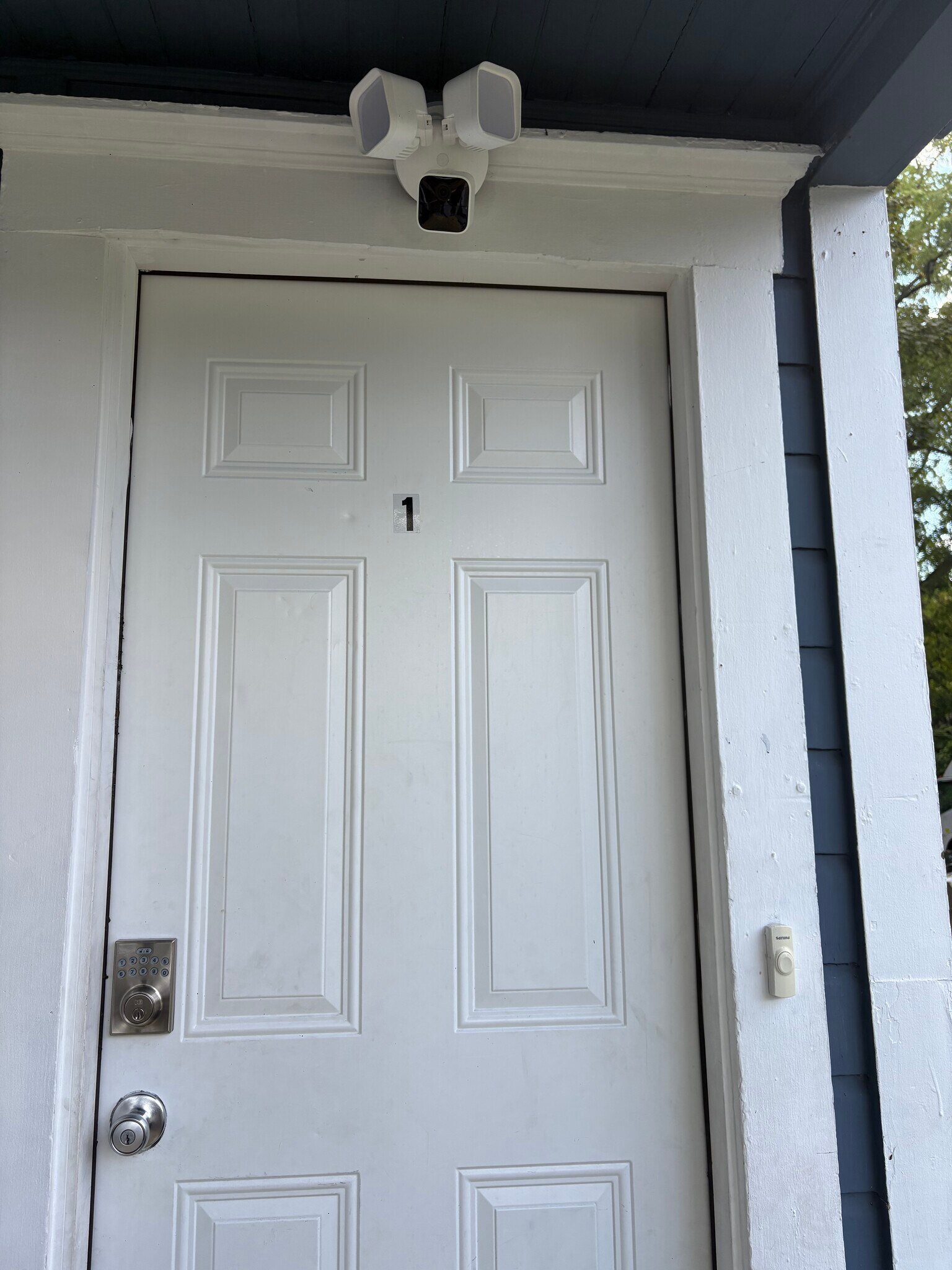 Building Photo - 233 Lakeview Ave