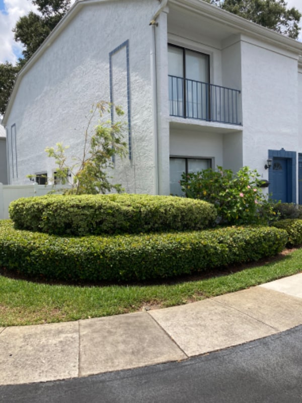 Building Photo - 8800 Bardmoor Blvd