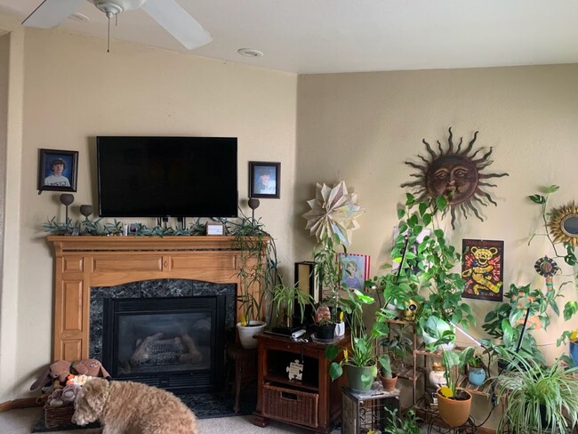 Building Photo - Cute 3 Bedroom Home in Milliken