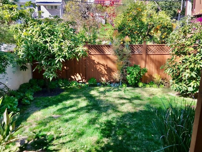Mango, Lemon, Lime & Avocado Trees - 4009 Beverly Glen Blvd