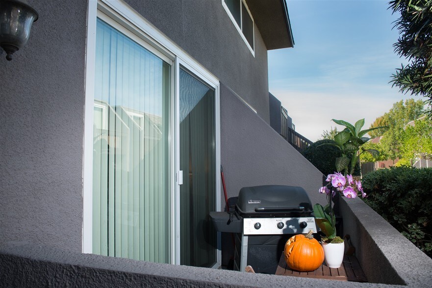 Patio - 6333 Mt Ada Rd