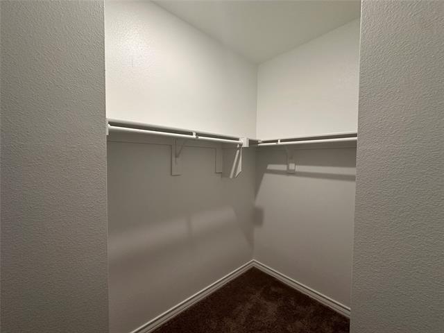 Building Photo - 663 Saxony Dr