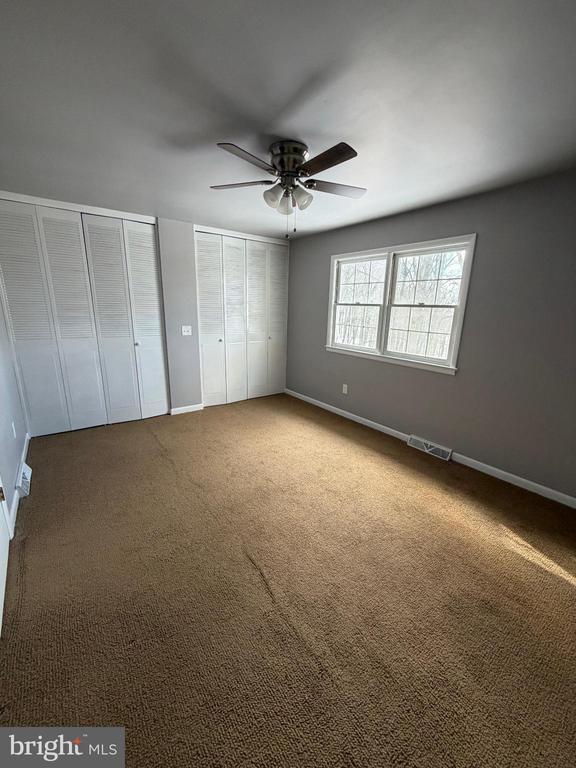 Building Photo - 1243 Peggy Dr