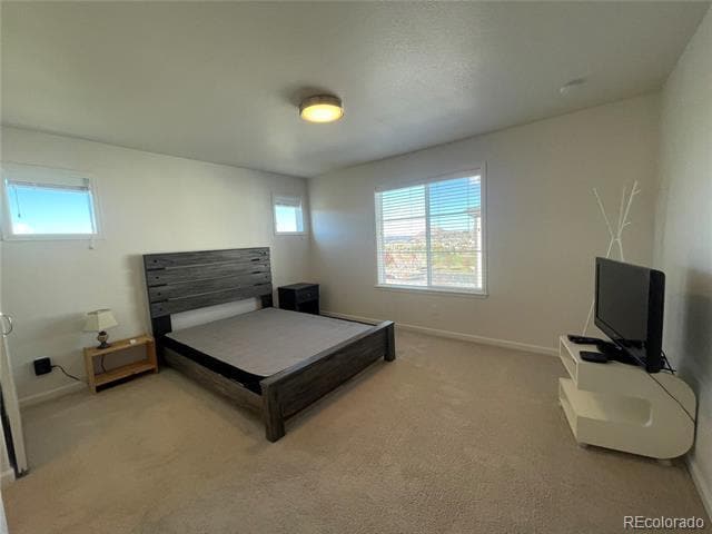 Building Photo - 1584 Castle Creek Cir