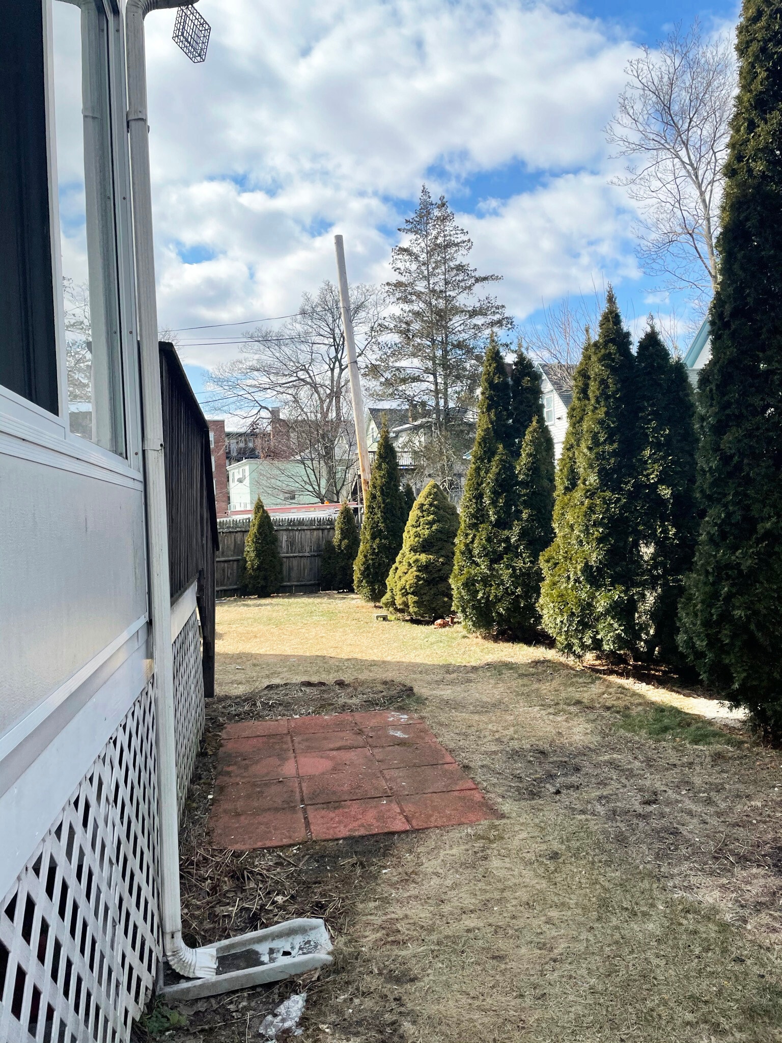Backyard - 27 Webster Pl