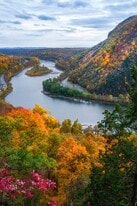 Building Photo - 93 Shepard Ave