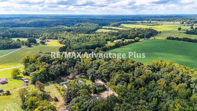 Building Photo - 3-Bedroom Home in Private Setting Minutes ...