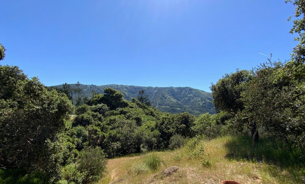 View of Garland Park - 17 Encina Dr