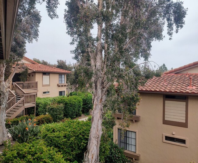 Building Photo - Beautiful 2 Bedroom Condo in Del Mar Villas