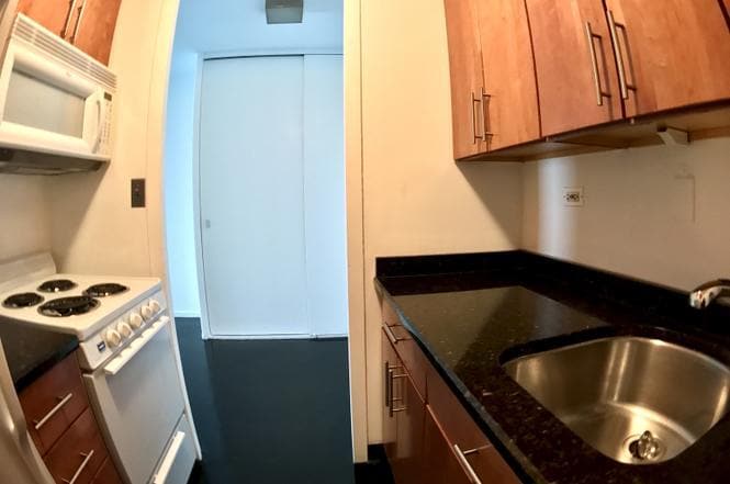 Building Photo - 900 N Lake Shore Dr