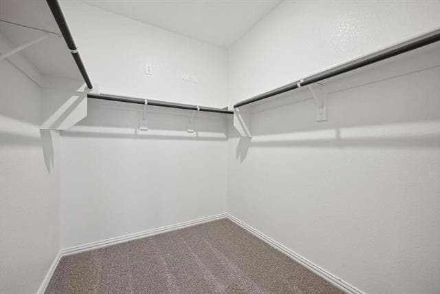 Building Photo - 3717 Cisco Dr