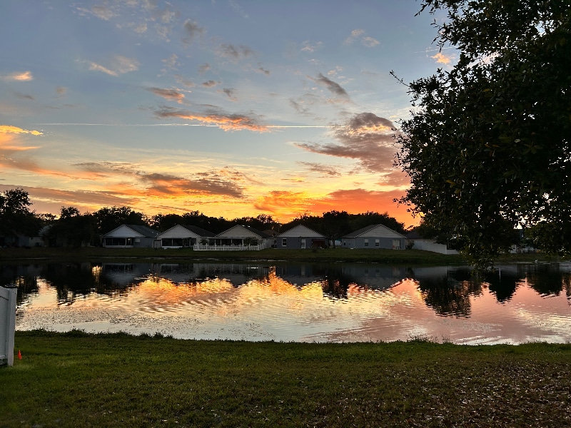 Building Photo - 7789 Pine Fork Dr