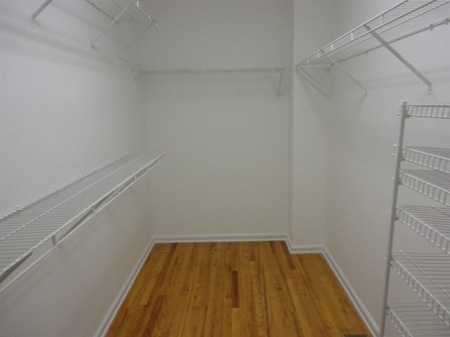 Building Photo - 6415 Wenham Ct