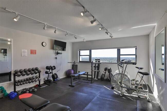 Building Photo - 4141 Bayshore Blvd