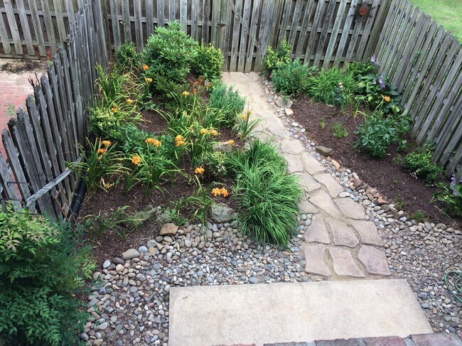 back yard - 3574 Lowlen Ct