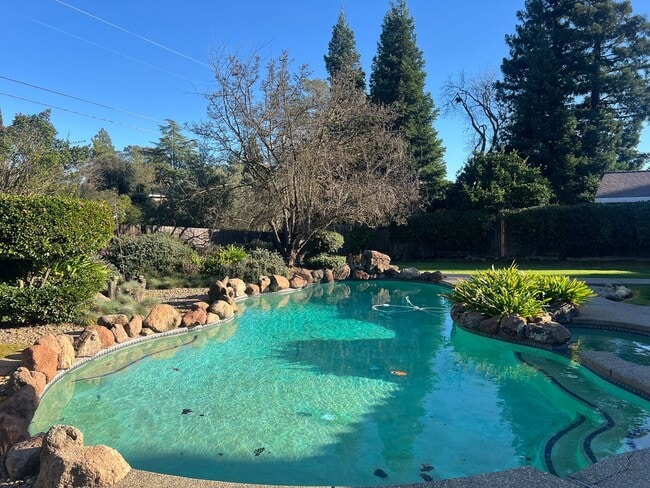 Building Photo - BEAUTIFUL 4 BEDROOM W/POOL IN FAIR OAKS!!