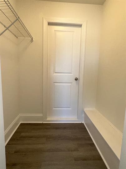 Building Photo - 1102 Cavil Hollins Ct