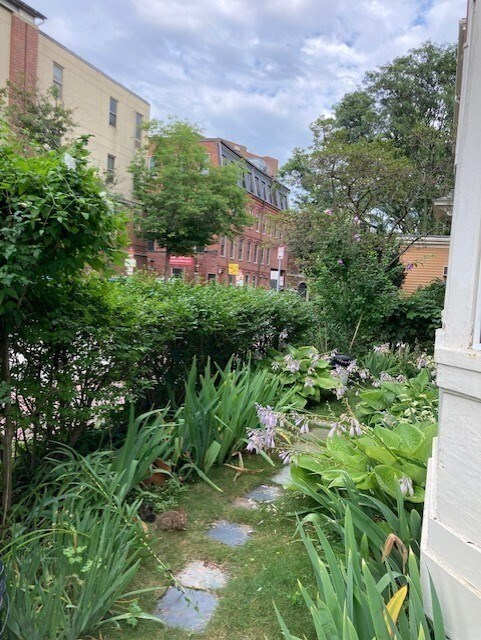 Building Photo - 28 Mt Auburn St