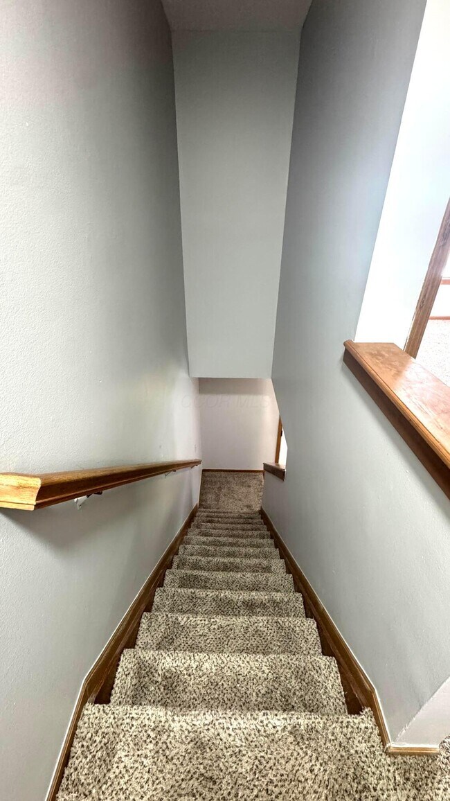 Building Photo - 4348 Shady Meadows Dr