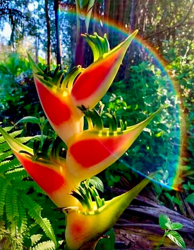 Building Photo - 15-1456-1456 10th Ave