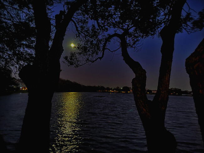 Moon Over Lake - 8705 Lake Place Ln