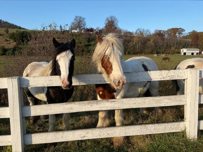 Building Photo - 520 Briar Manor