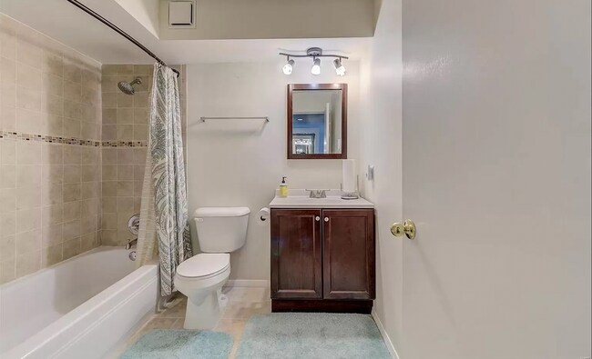 Master Bath Full - 4355 Maryland Ave