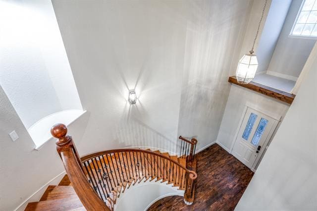 Building Photo - 8779 Oak Stream