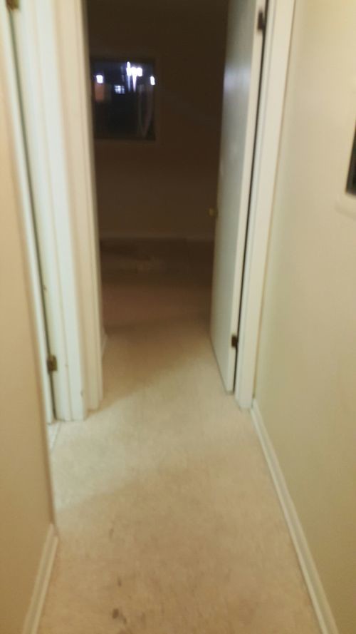 Building Photo - 1406 Carol St