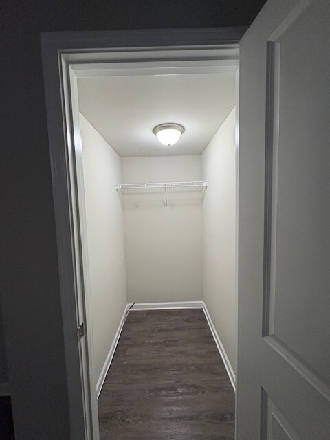 Building Photo - 314 Nutwood Trce