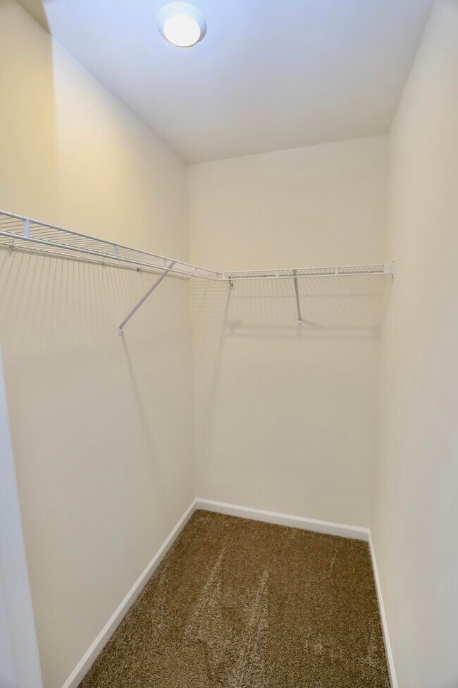 Building Photo - 1718 Canopy Dr