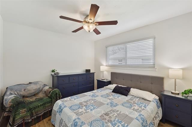 Building Photo - 3008 Kirby Dr