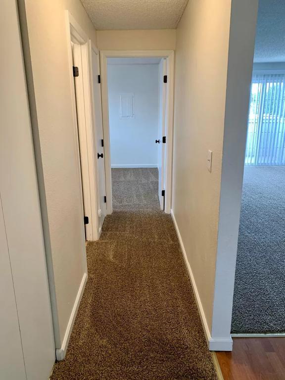 Building Photo - 4124 W Albany Ave