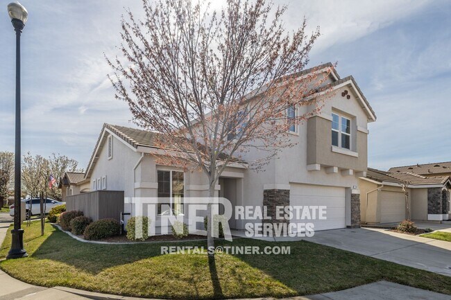 Building Photo - 1707 Grey Bunny Dr