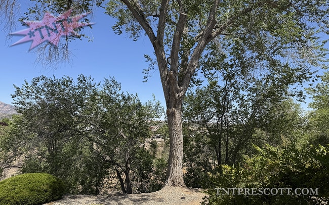 Building Photo - Condo in Montana Terrace HOA