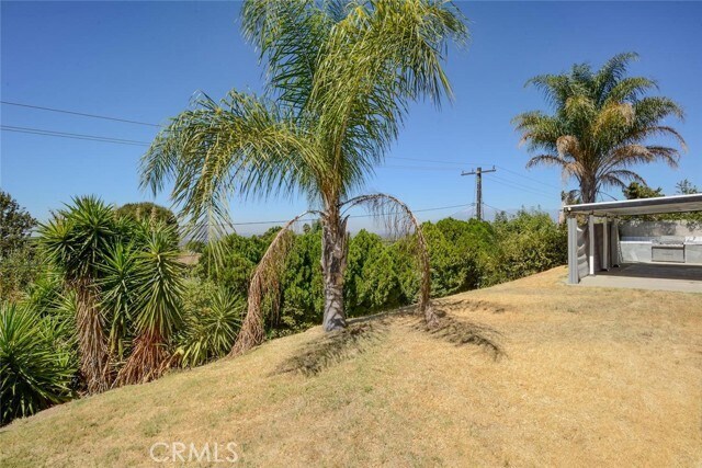 Building Photo - 3803 Piedmont Dr