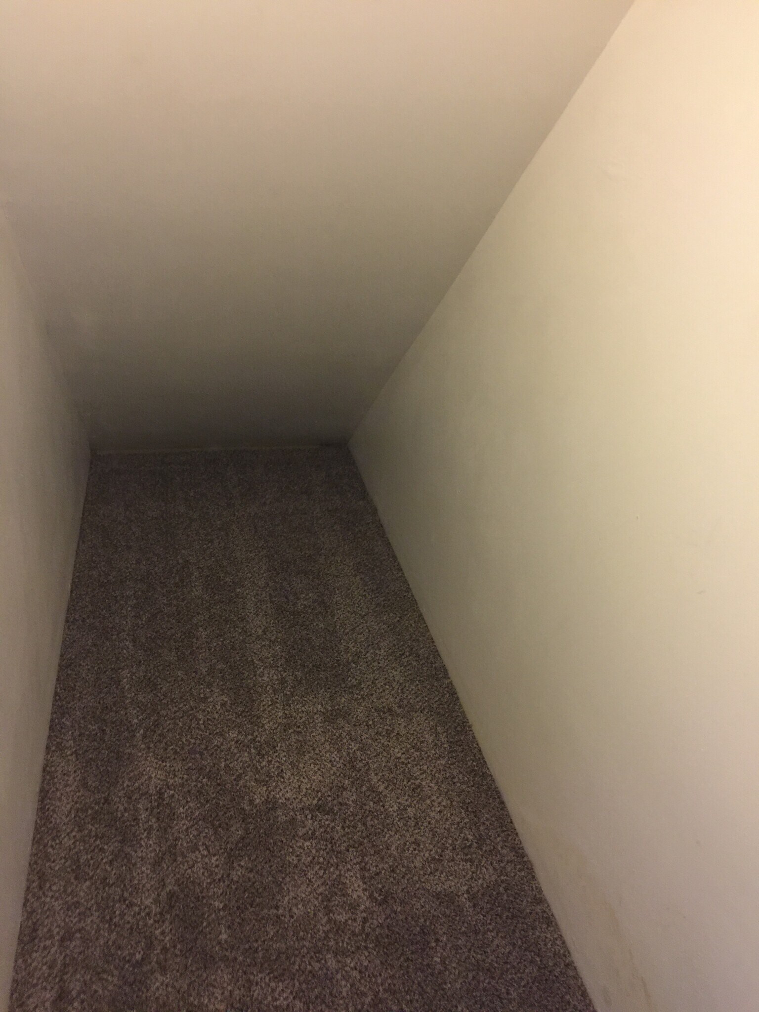 Master BR Closet - 2604 Tremont St