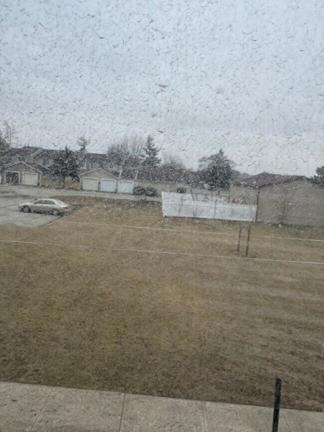 Building Photo - 2333 Windsor Ln