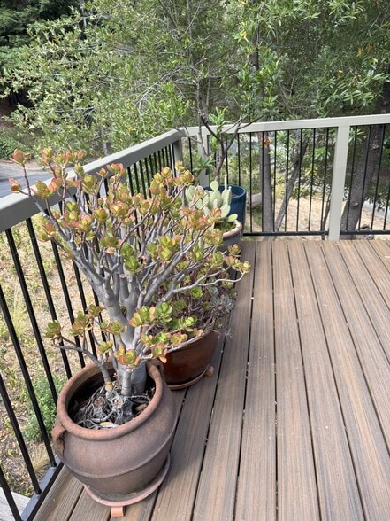 Front common deck area - 186 Pelican Ln