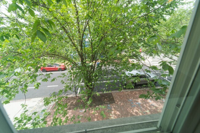Building Photo - Spacious 1 BD 2 BA Apartment in the Histor...