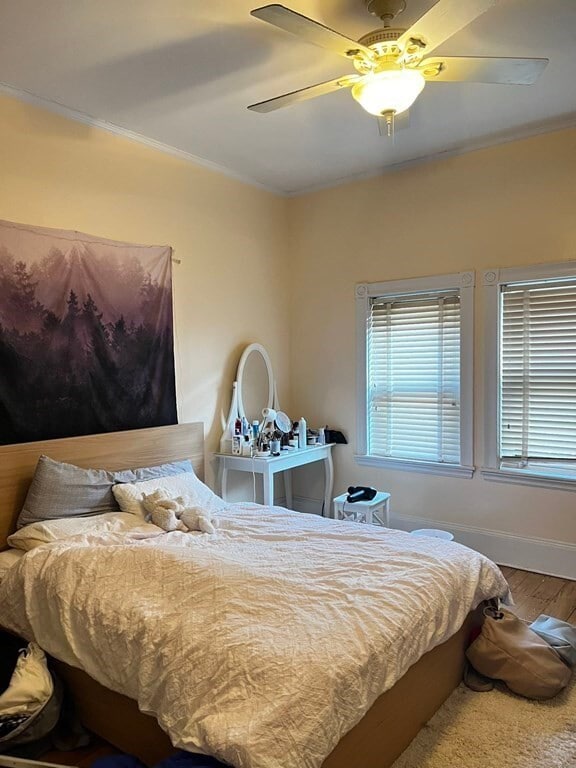 Building Photo - 31 Bay State Rd