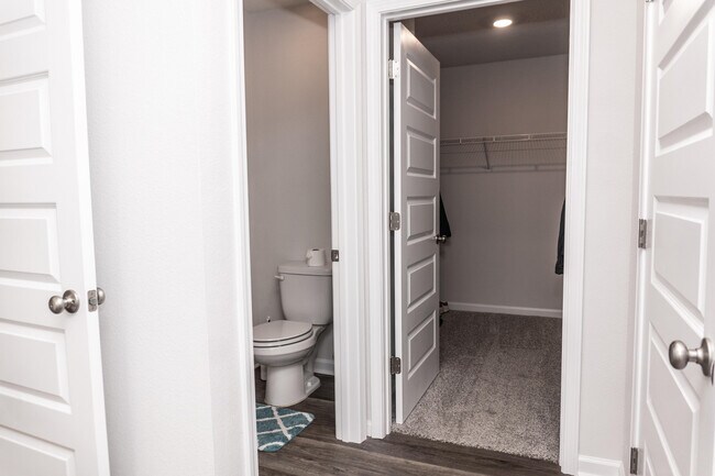 Building Photo - 3431 Phoenix Ct