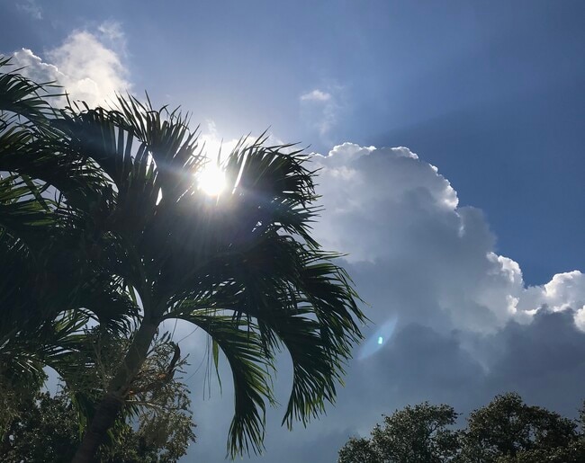 Building Photo - 625 Paula Ave