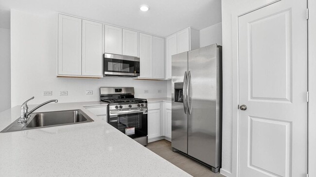 Building Photo - 26911 Dalmatian Bellflower Dr