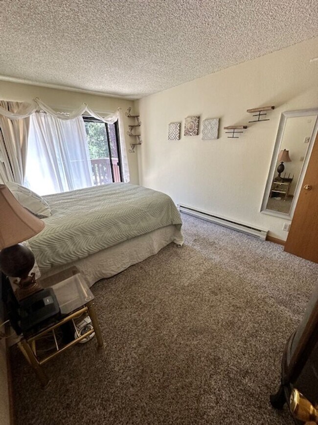 Building Photo - True Skier's Condo! Available for a Seasonal tern rental (3-6 months). Call me today!!