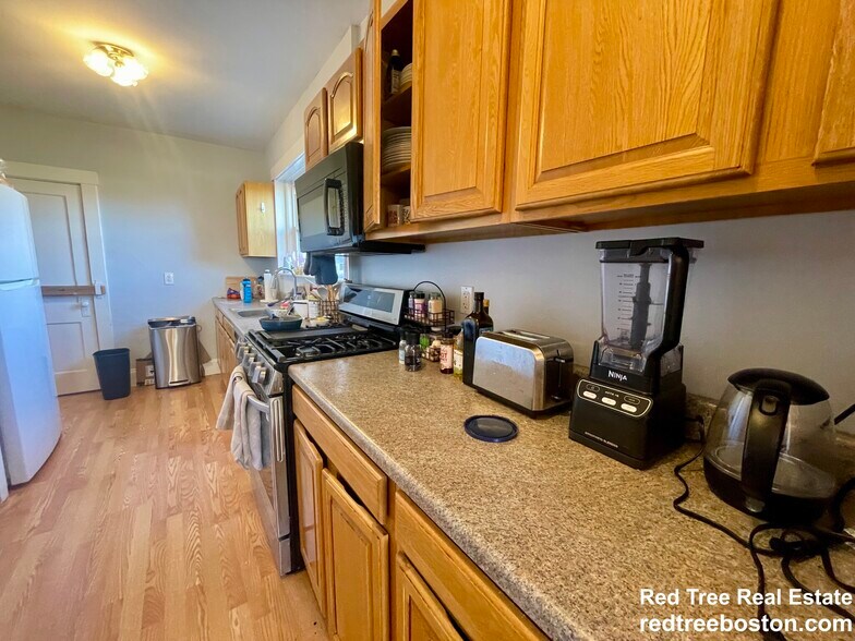 Building Photo - 209 Chestnut Hill Ave