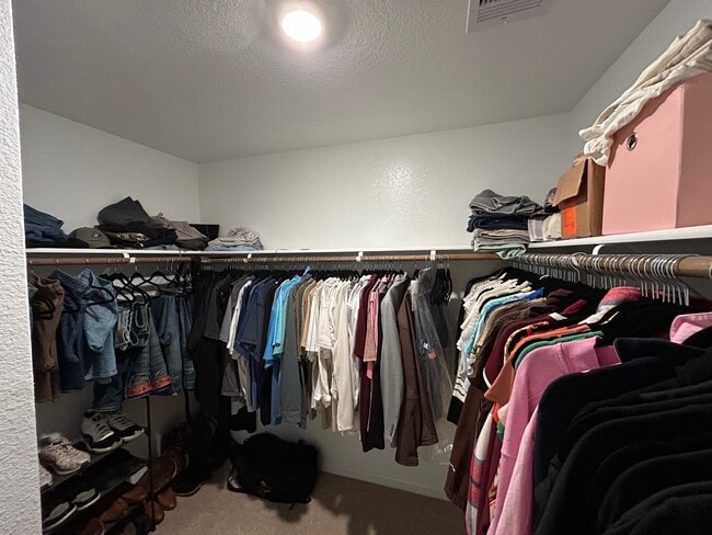 Building Photo - 822 Coffee Ml Ln